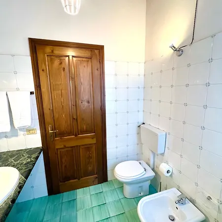 Mandarhouse Dante *
